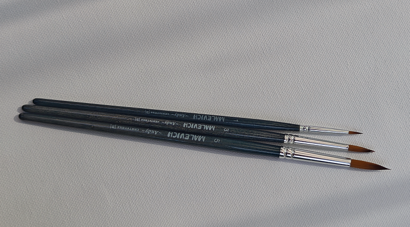 Professional Brushes (3 pcs)
