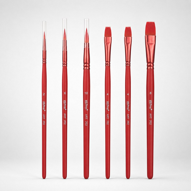 Professional Brushes (6 pcs)