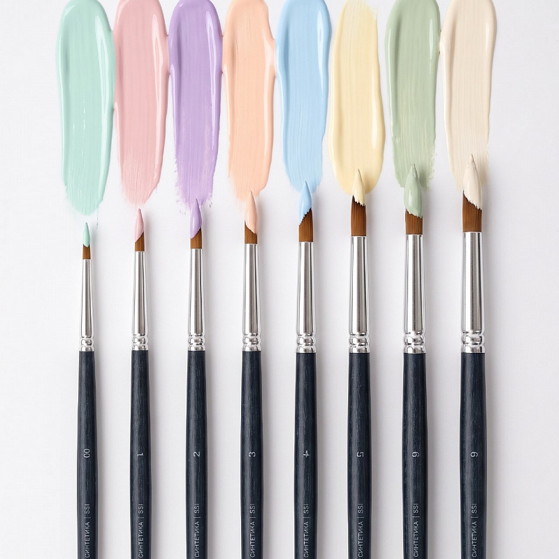 Professional Brushes (8 pcs)
