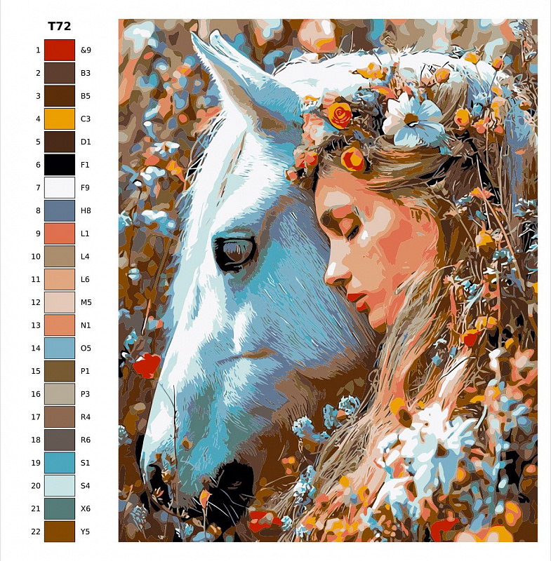 Картина по номерам Т72 "Лошадь и красавица", 60x80 см