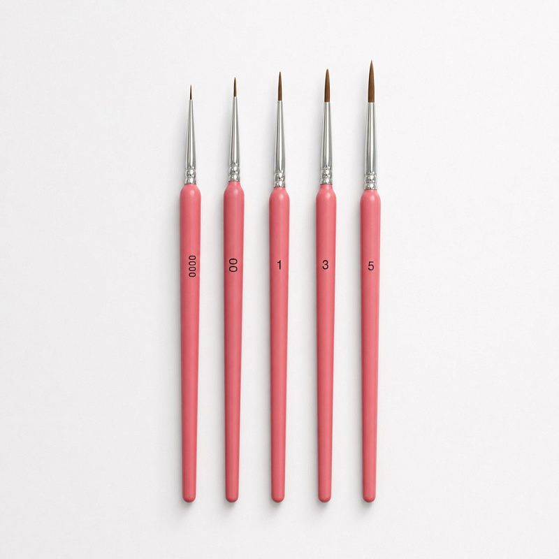 Professional Brushes (5-piece set)
