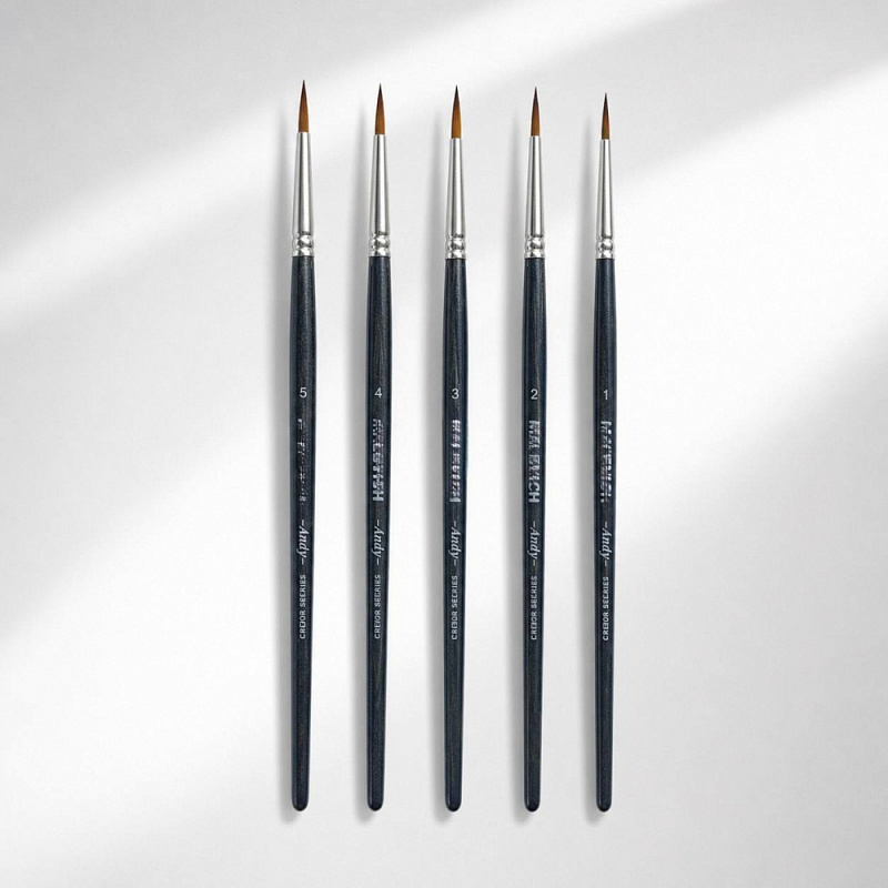Professional Brushes (5 pcs)