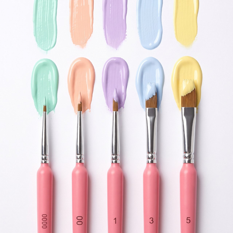 Professional Brushes (5-piece set)